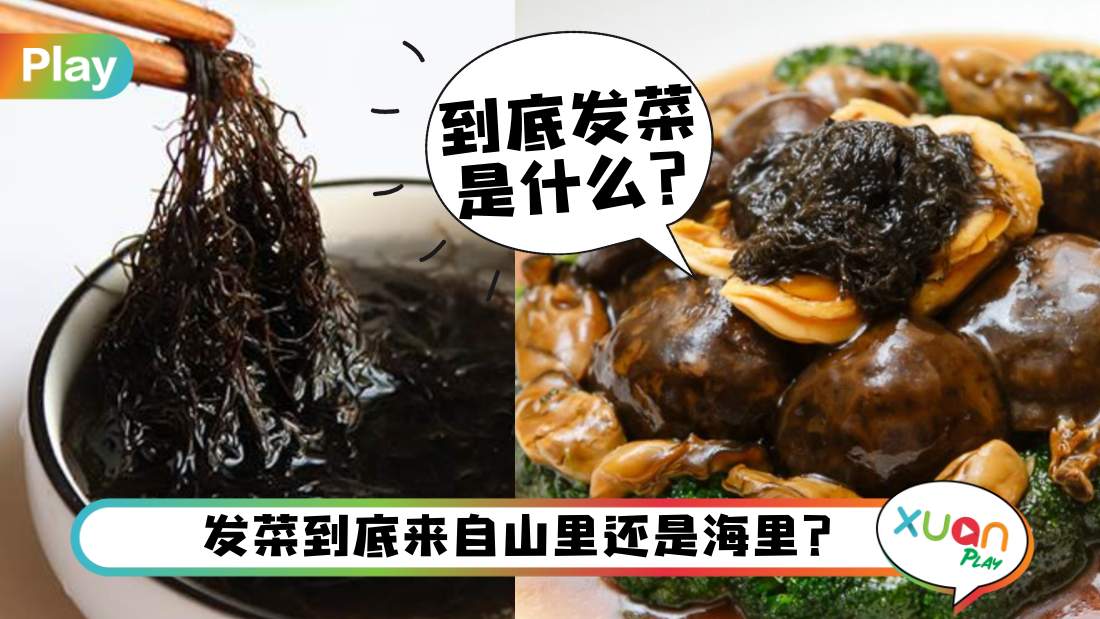 where-fat-choy-came.jpg