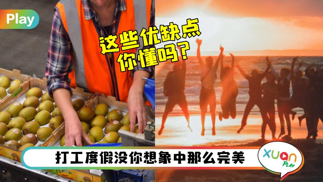 why-working-holiday.jpg