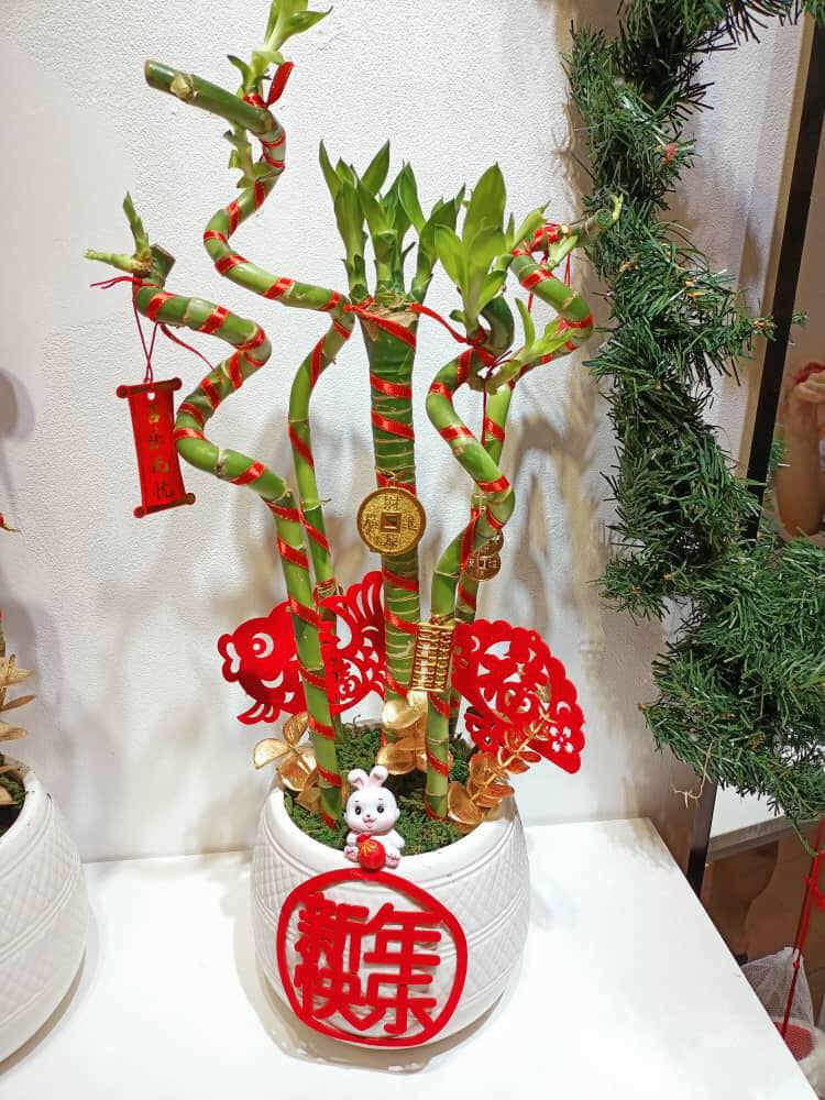 富贵开运竹
