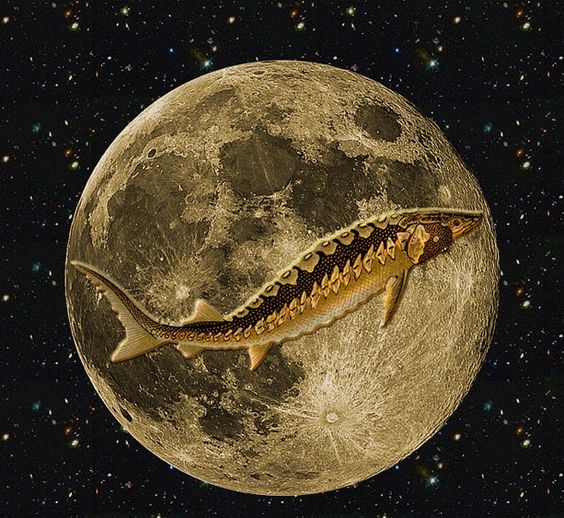 Sturgeon Moon