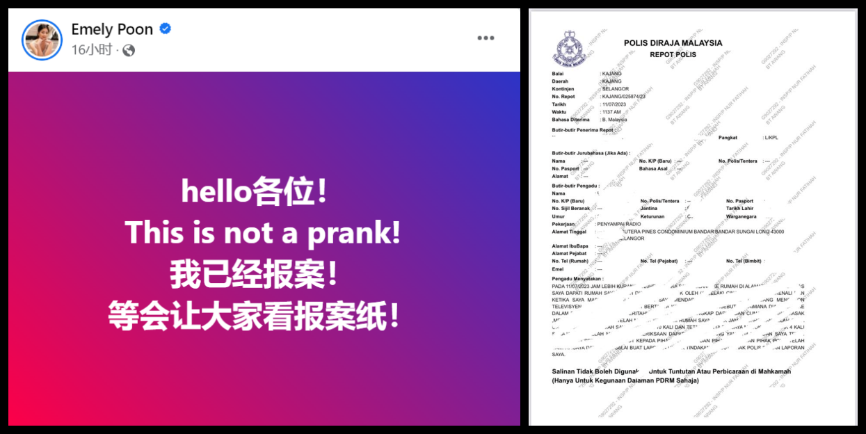 Emely潘毖伶晒报案纸