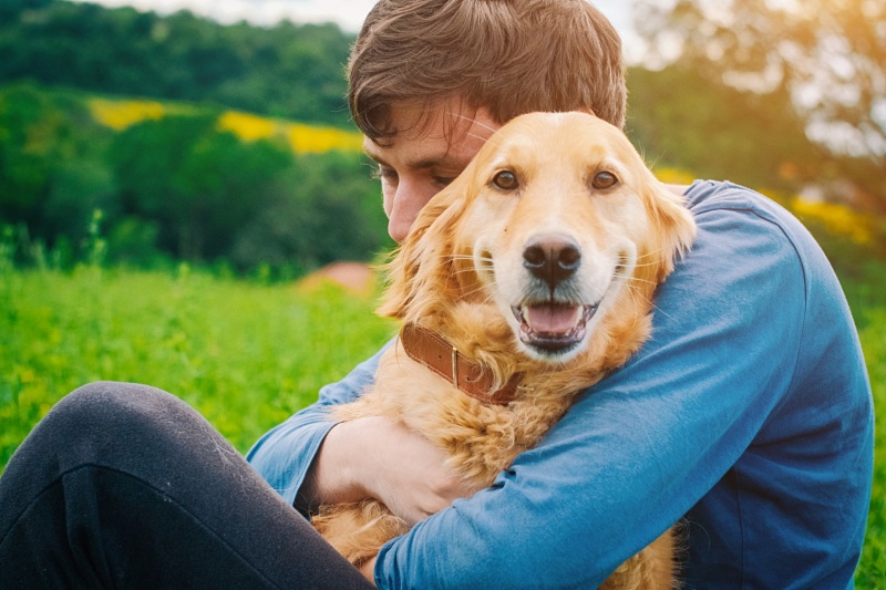 Pets