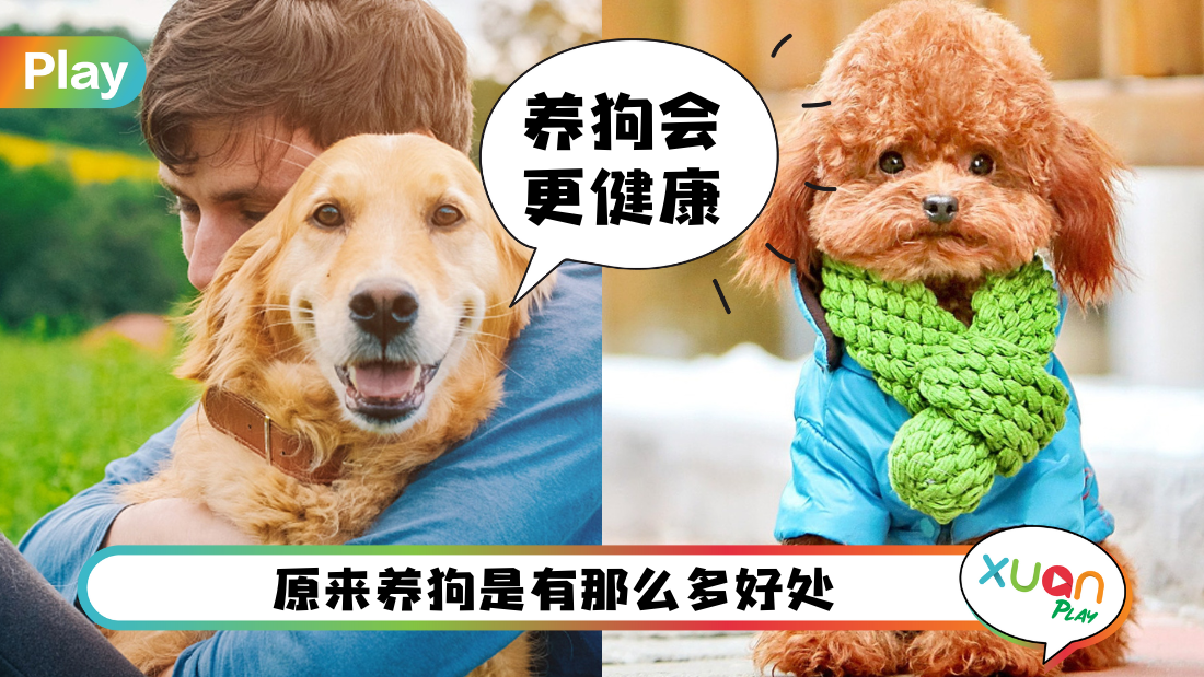 pets.png