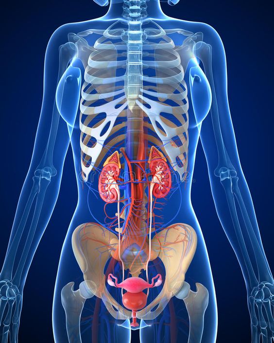 Urinary tract infection
