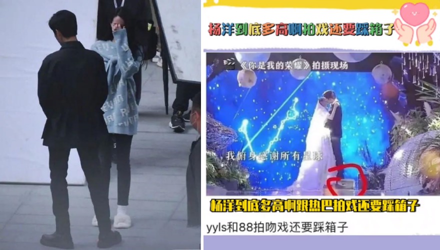 杨洋身高