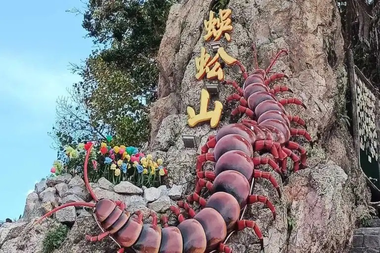 蜈蚣山