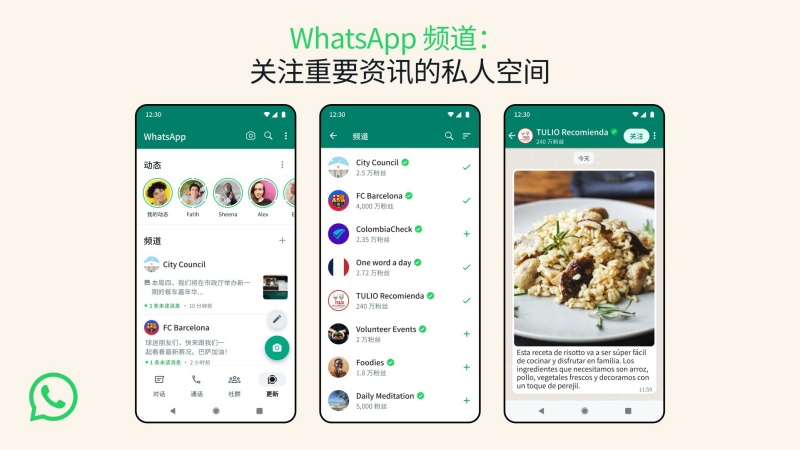 WhatsApp Channels
