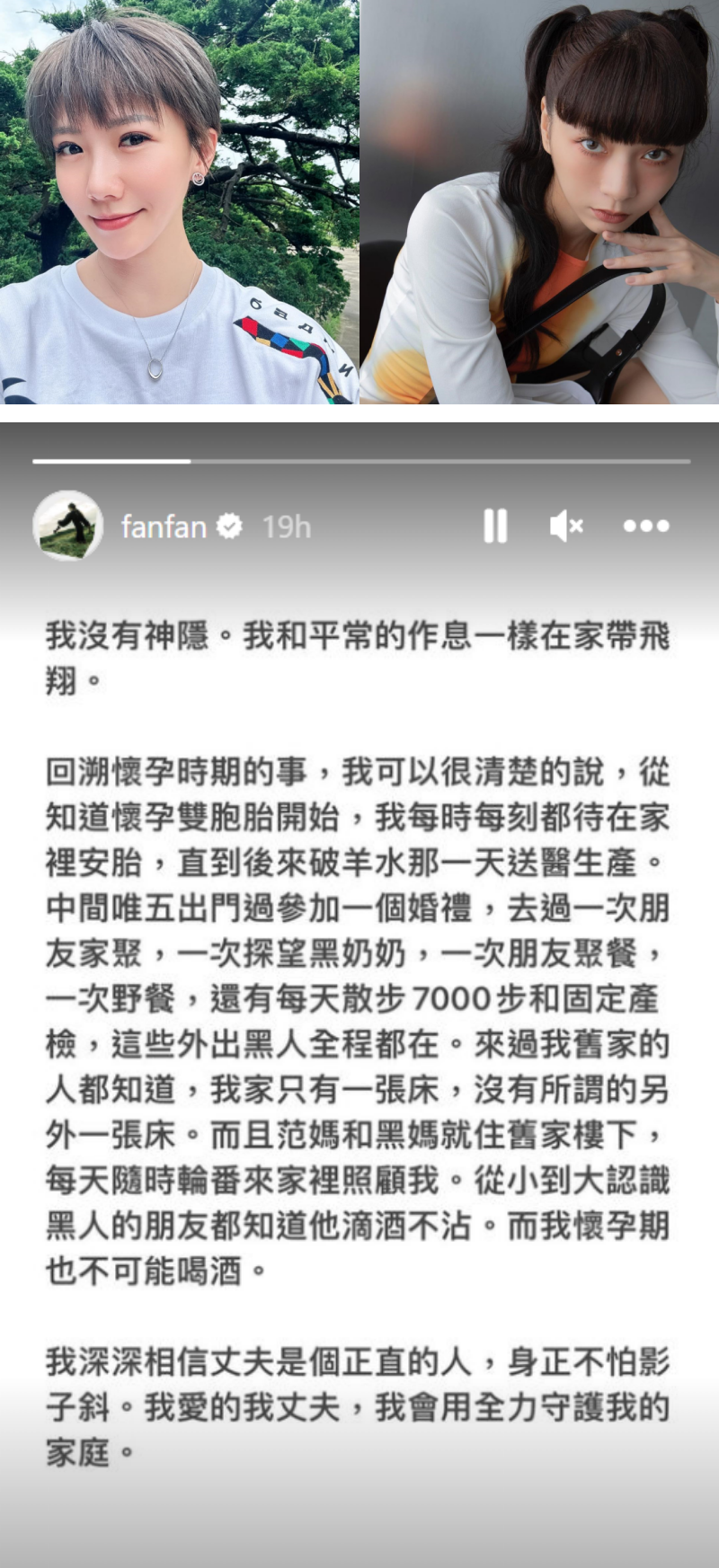 范玮琪被笑是提油救火