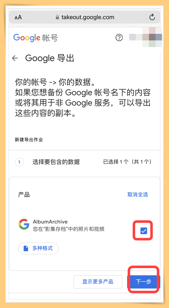 Google Take Out