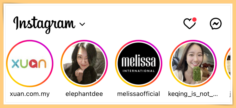 IG Story Profile