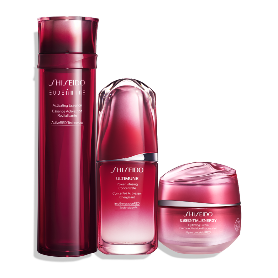 Shiseido Perfect Power Trio Set