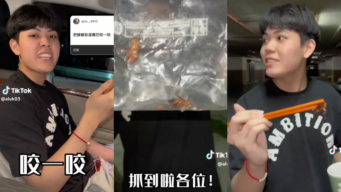 大马网红拍片吃蟑螂