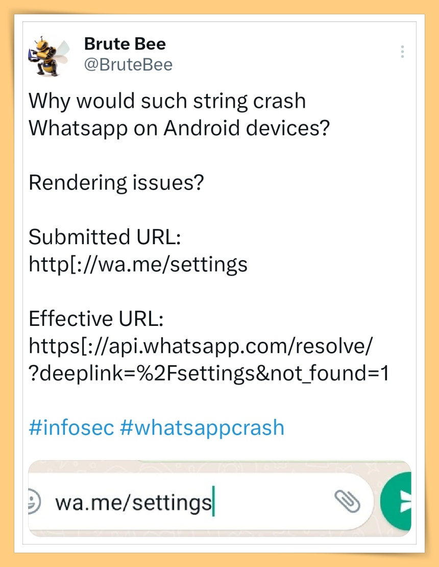 WhatsApp Crash