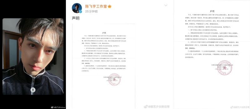 陈飞宇发布声明