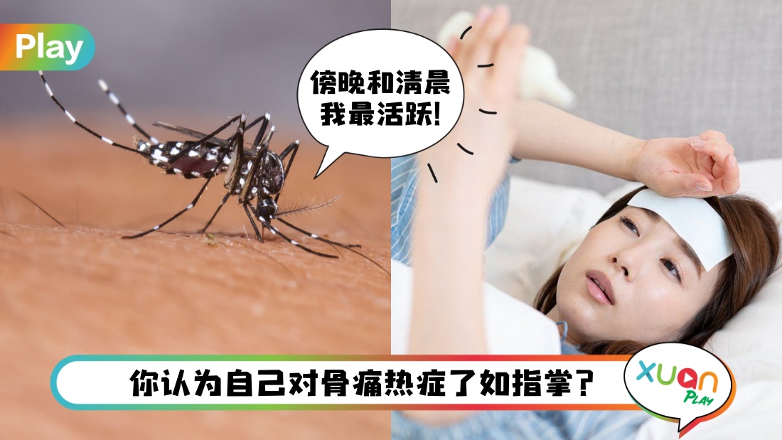 dengue.jpg