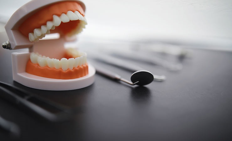 Dental Check Up