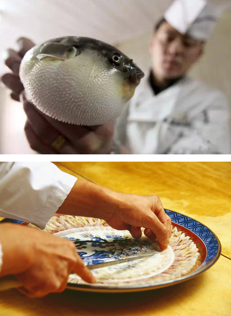 鸡腿鱼就是河豚