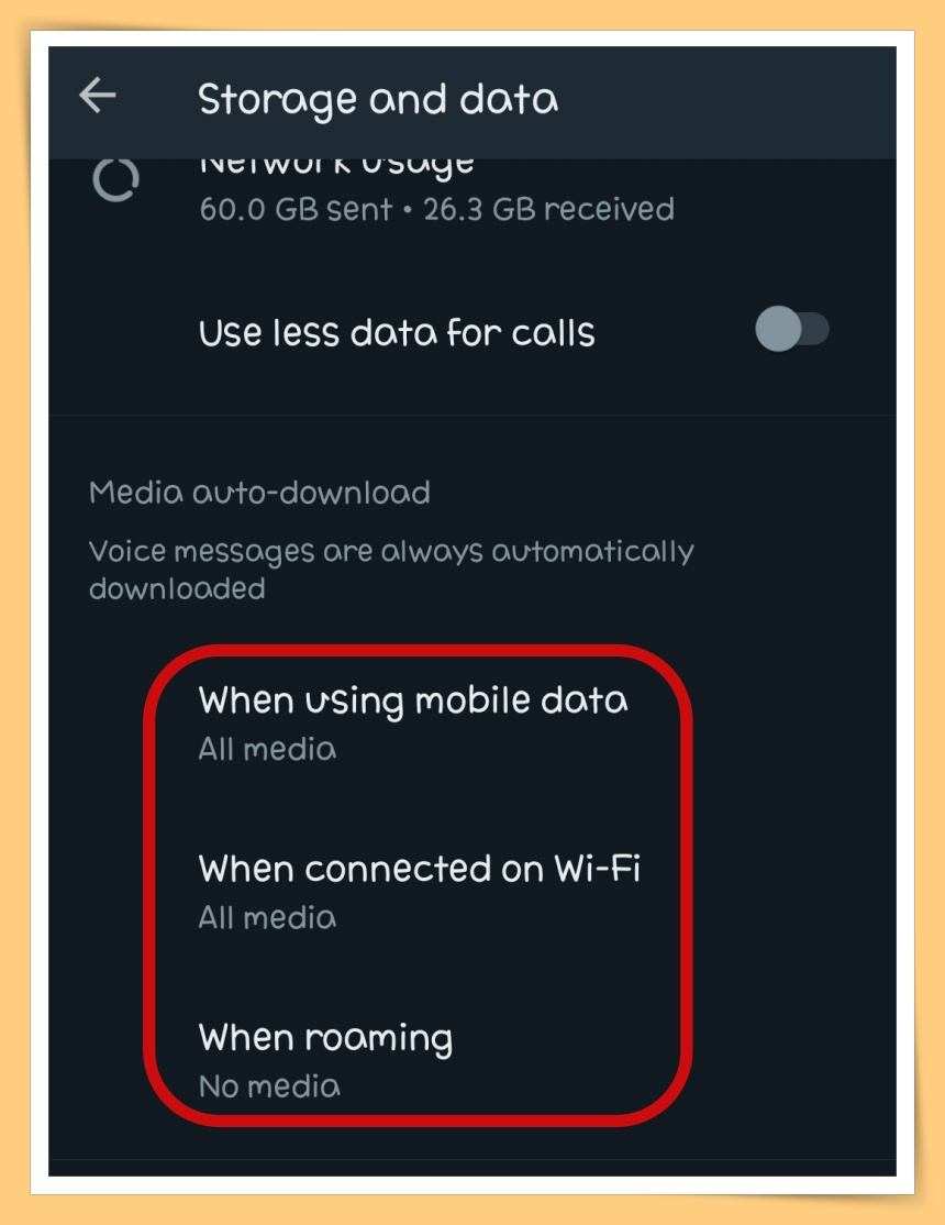 Media auto-download