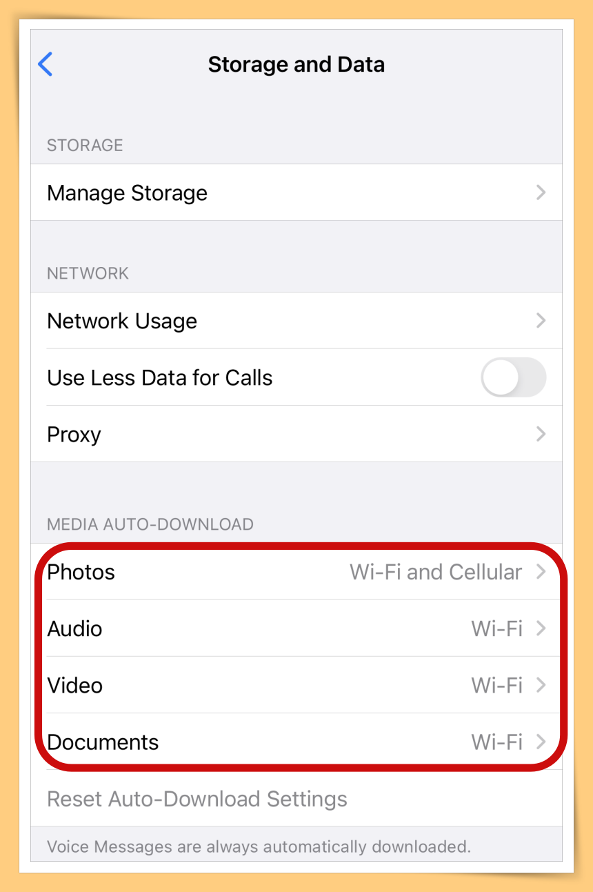 Media Auto Download iOS