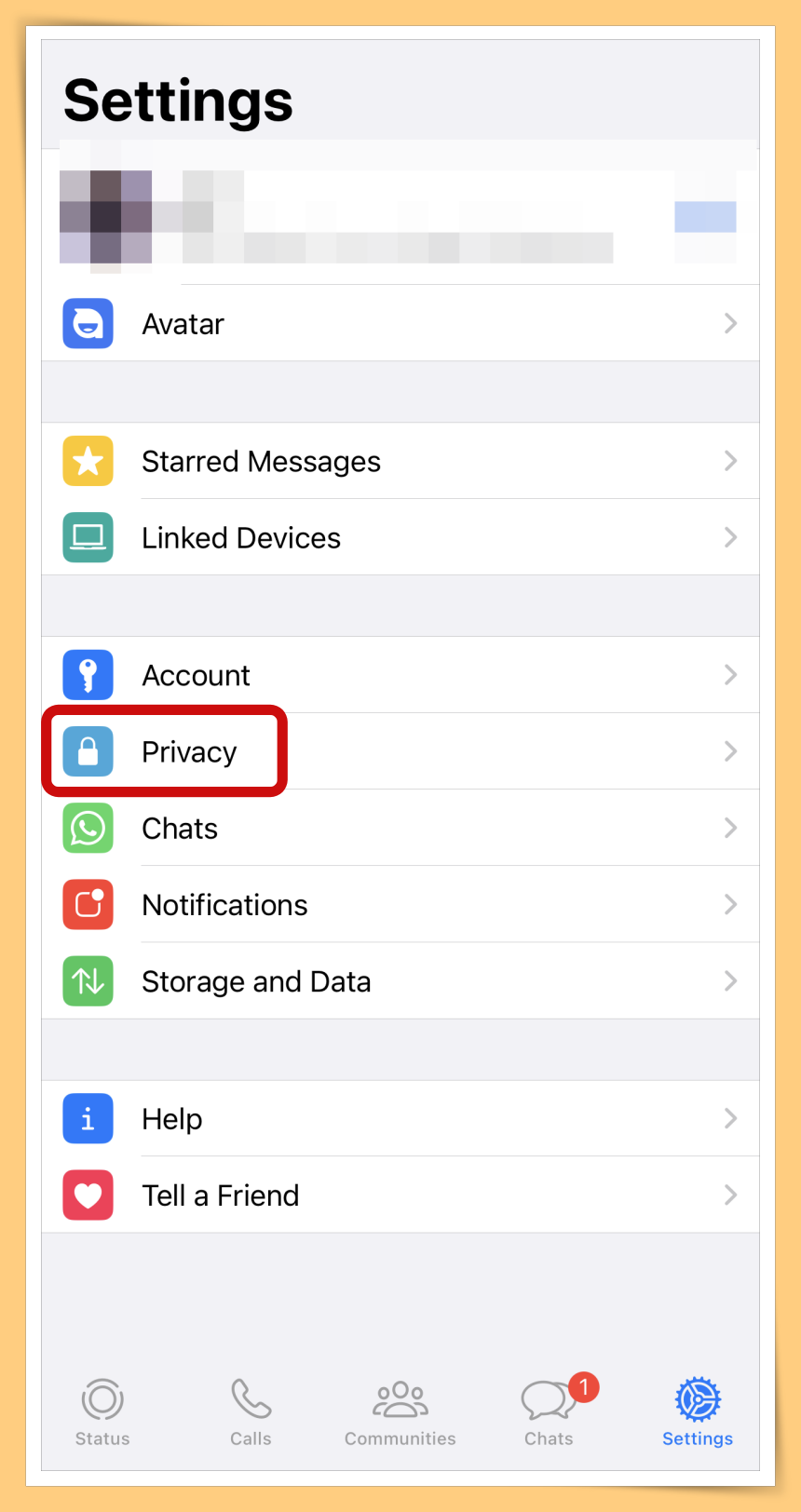 iOS Privacy