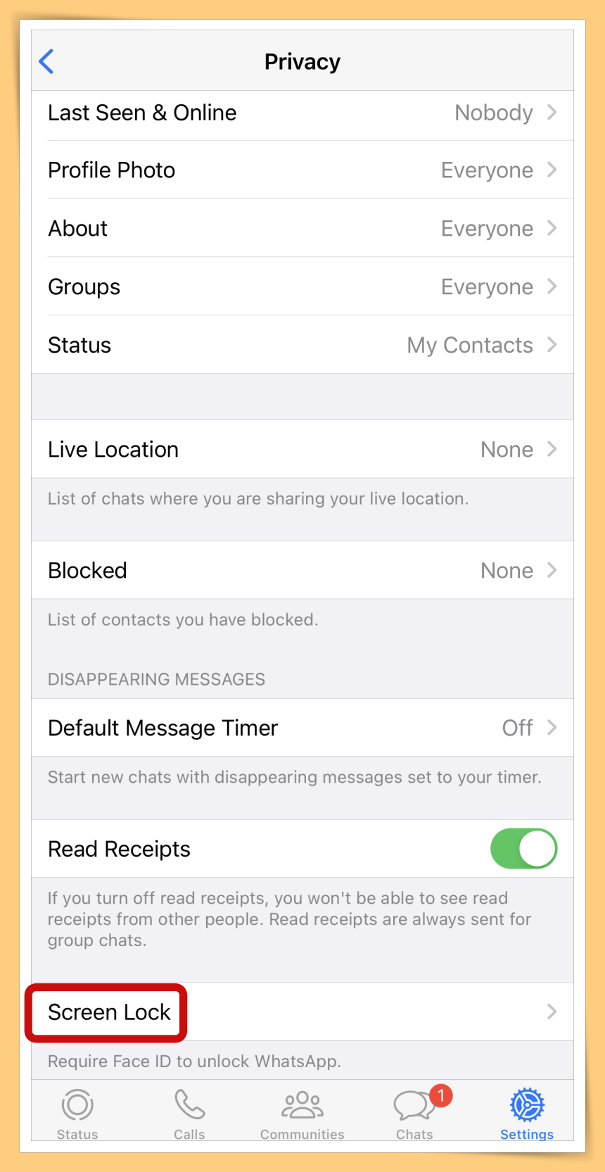 iOS Screen Lock