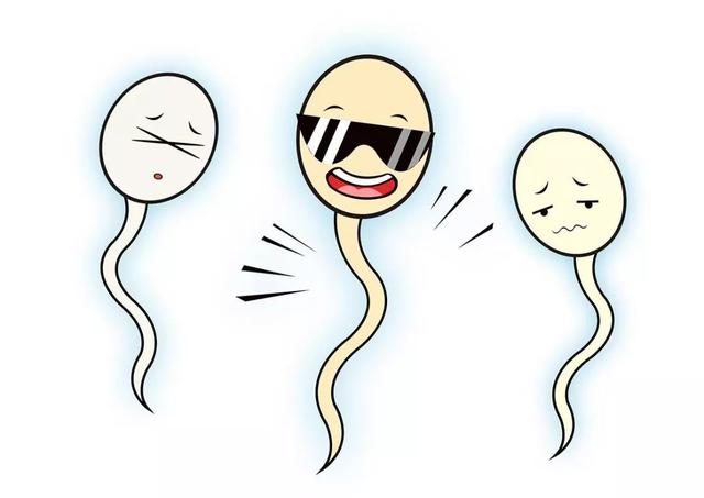 精子