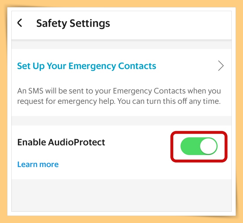 Enable AudioProtect