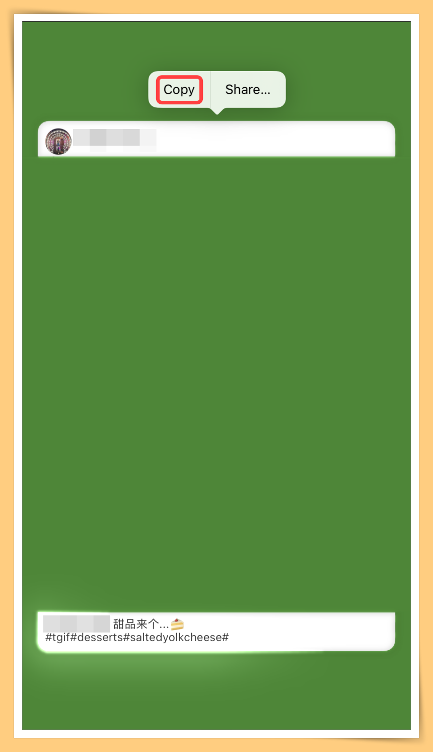 Copy Frame