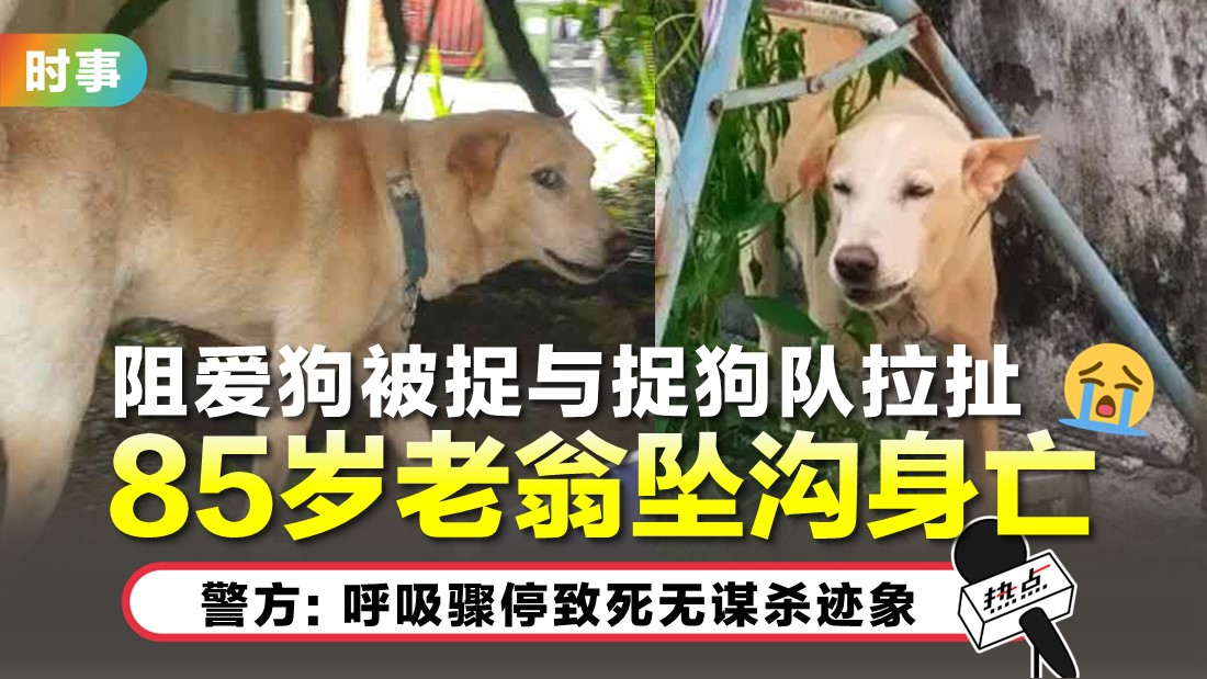 doggies.jpg