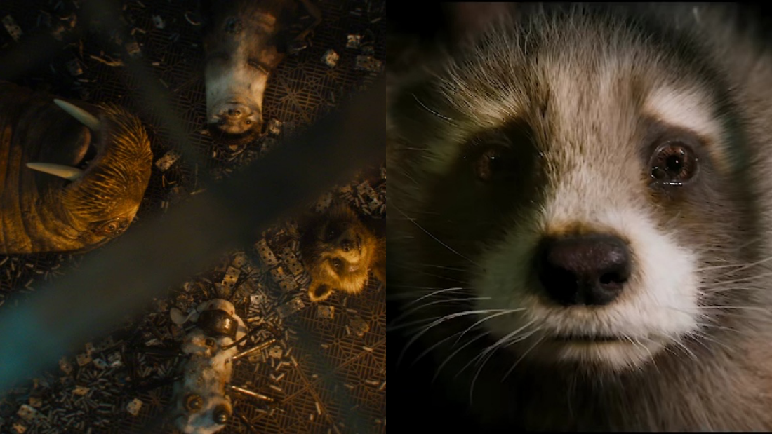 Guardians of Galaxy 3 影评