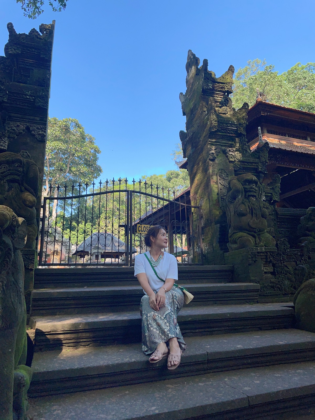 monkey forest