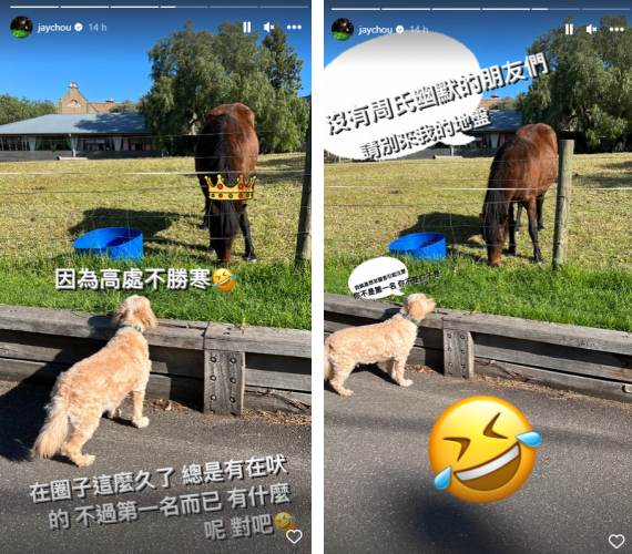 周杰伦回呛