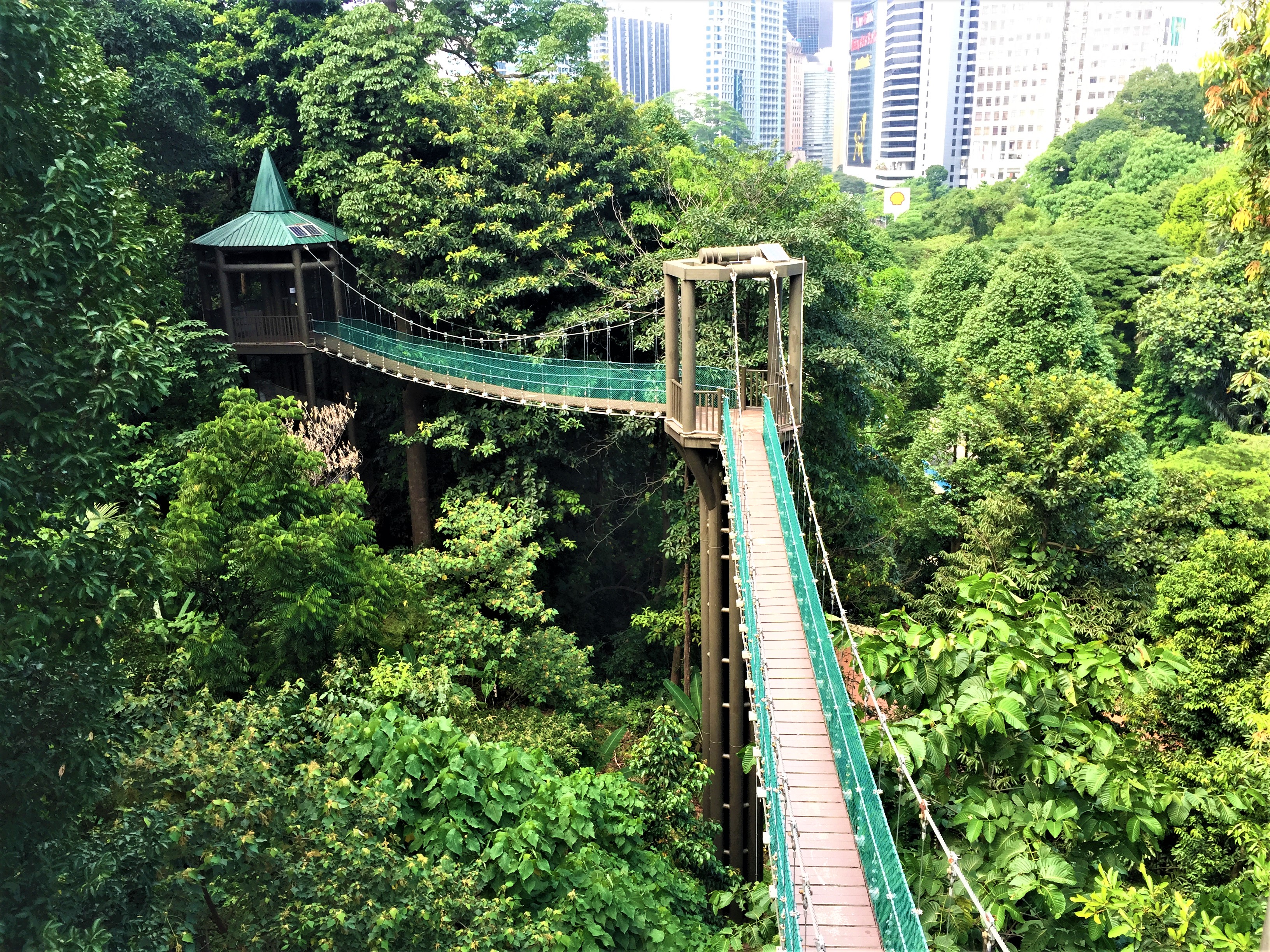 KL Eco Forest