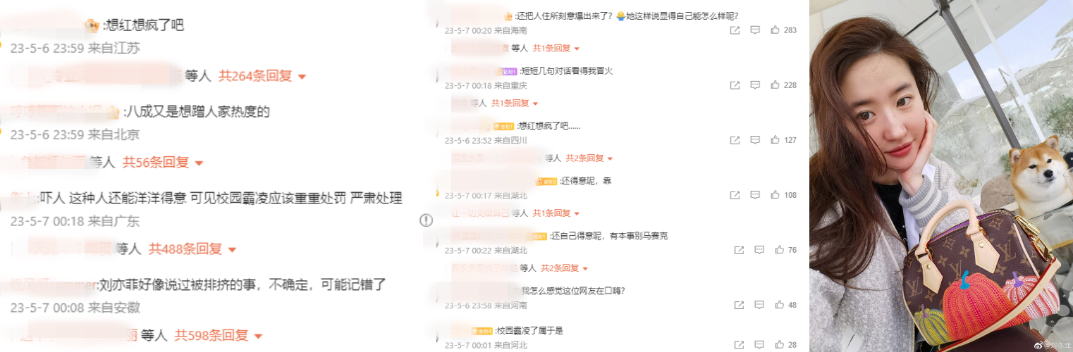 网友力挺刘亦菲