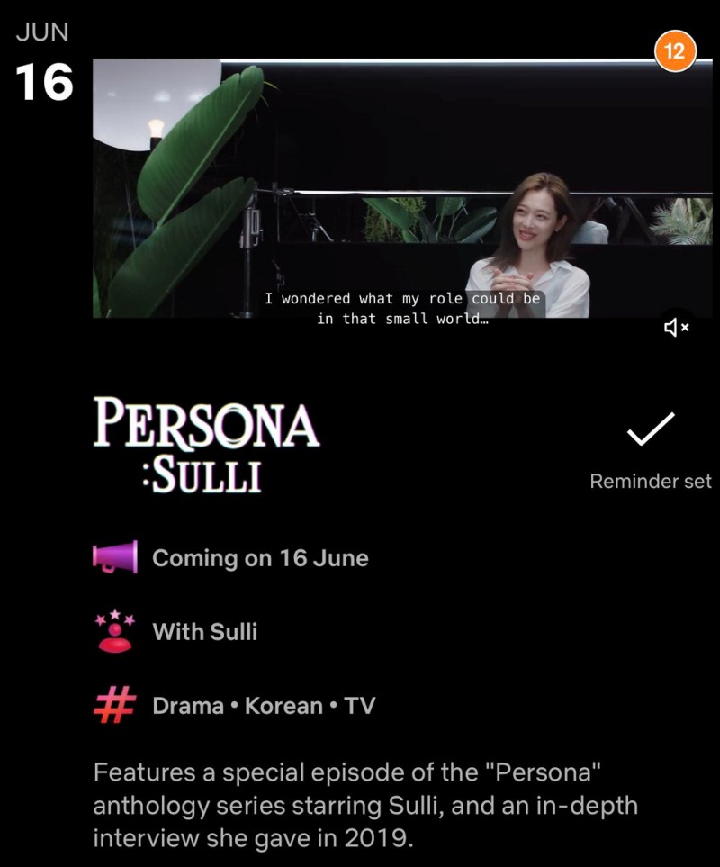 《PERSONA:SULLI》即将上映