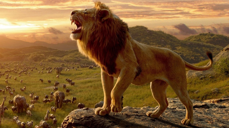 The Lion King Picture 1