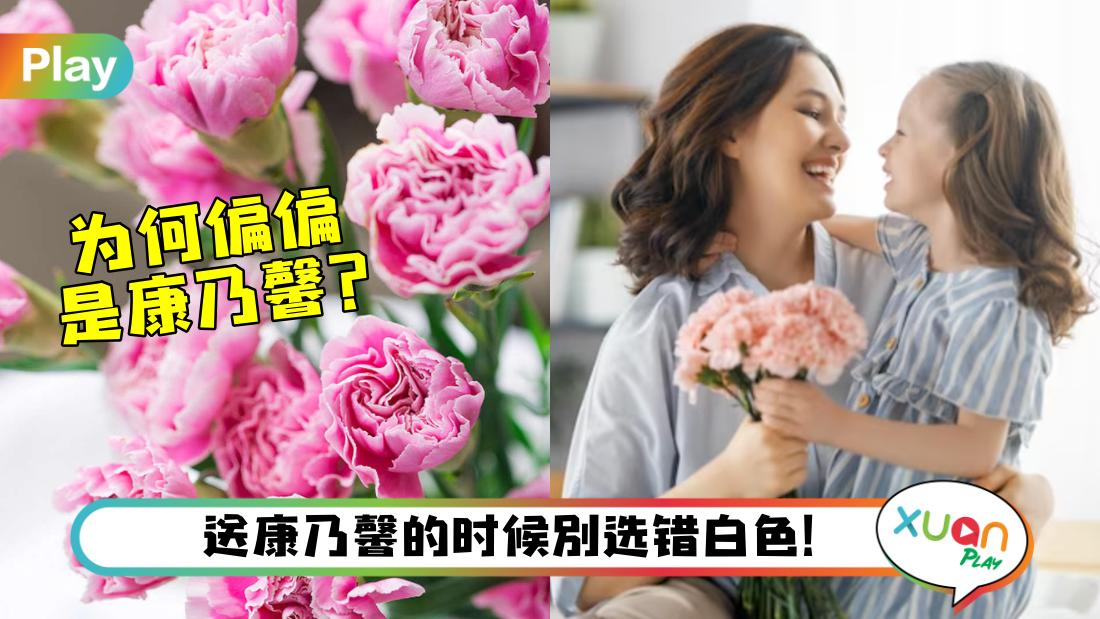why-mothers-day-flower-in-carnation.jpg
