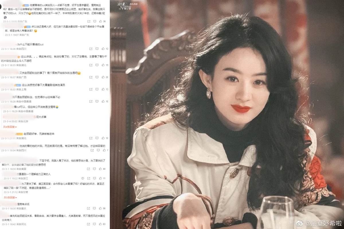 网友意见两极