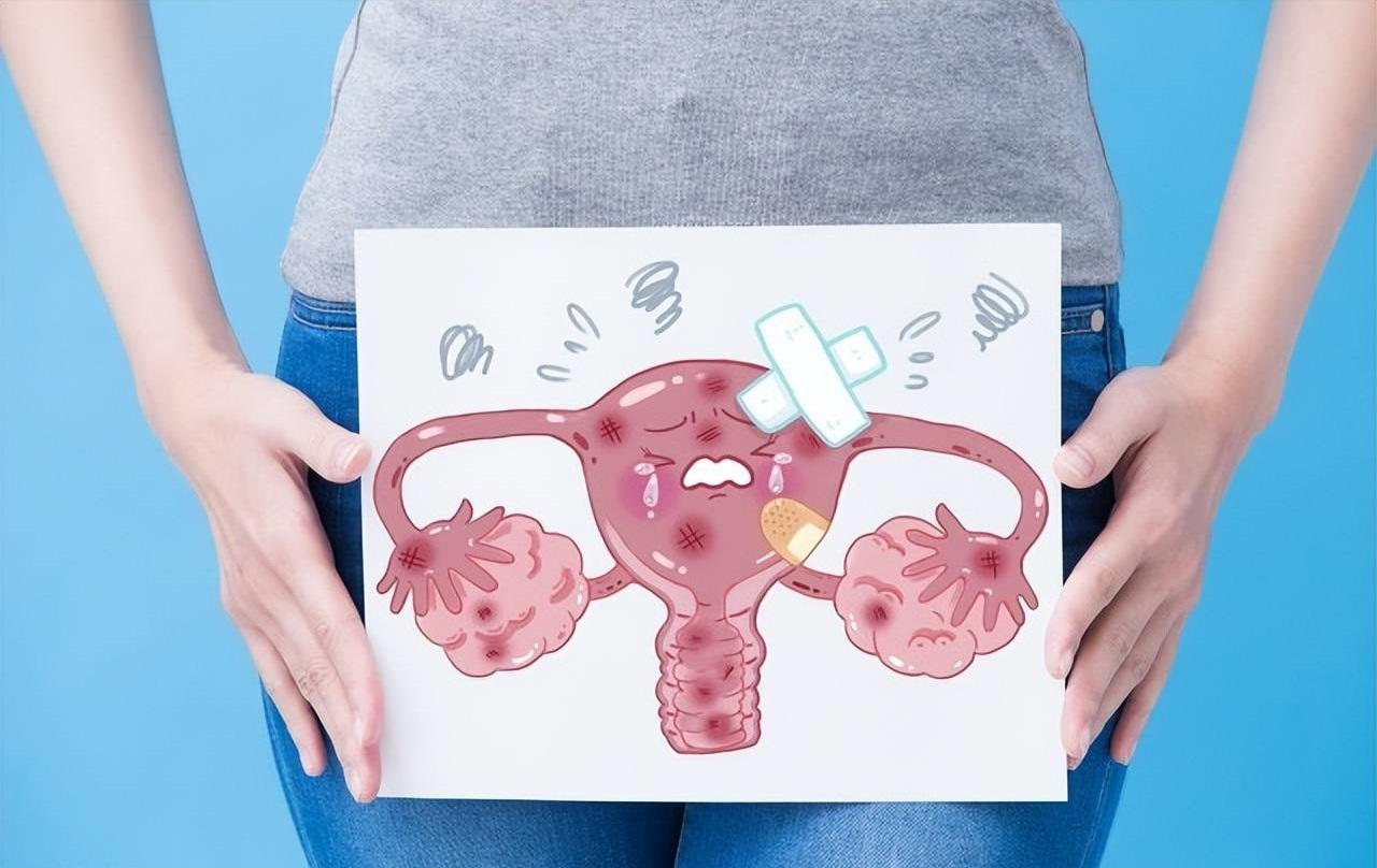 女性子宫