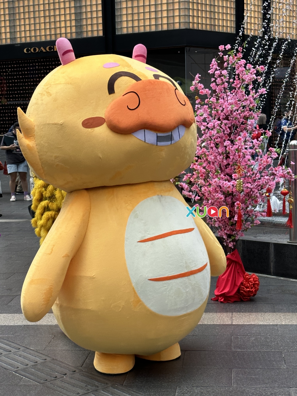 2024年吉祥物