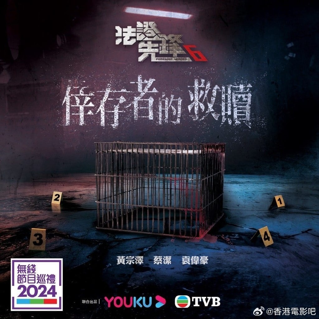 法证先锋6