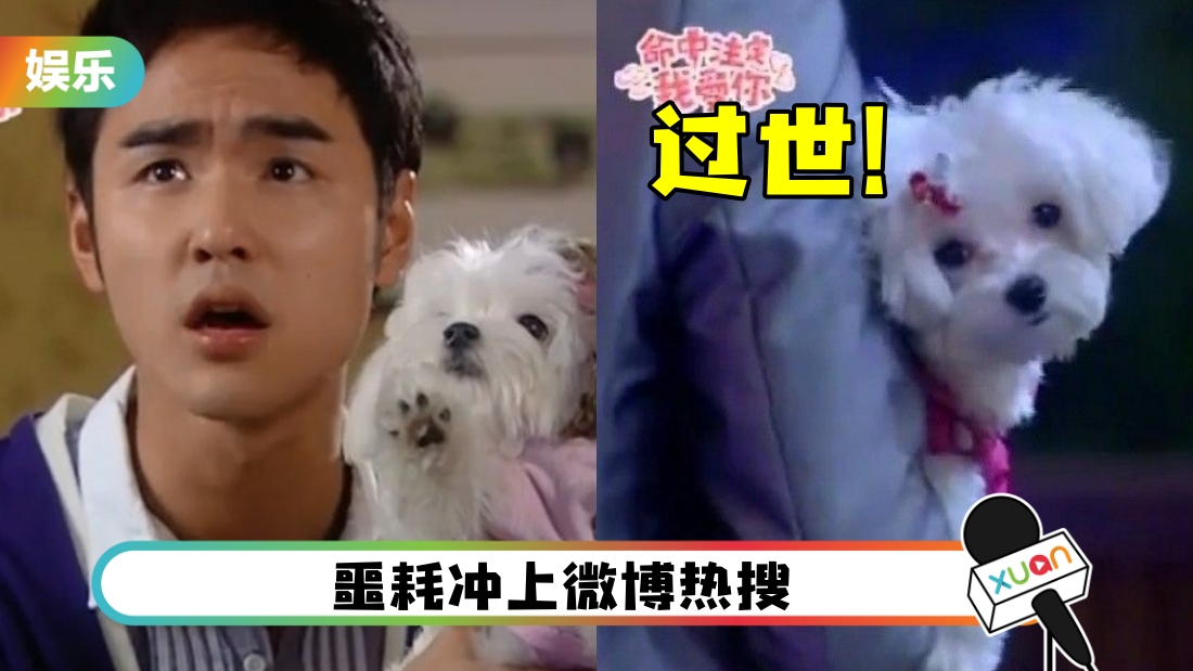 jibaobei-main.jpg