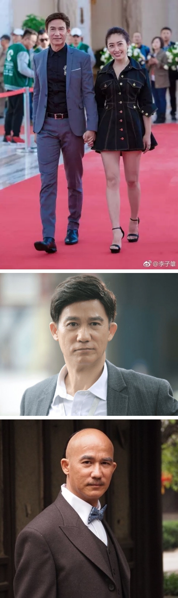 TVB绿叶李子雄