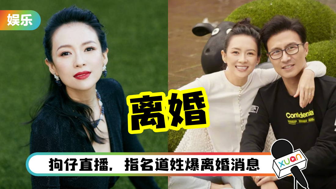zhangziyi-divorce-cover.png