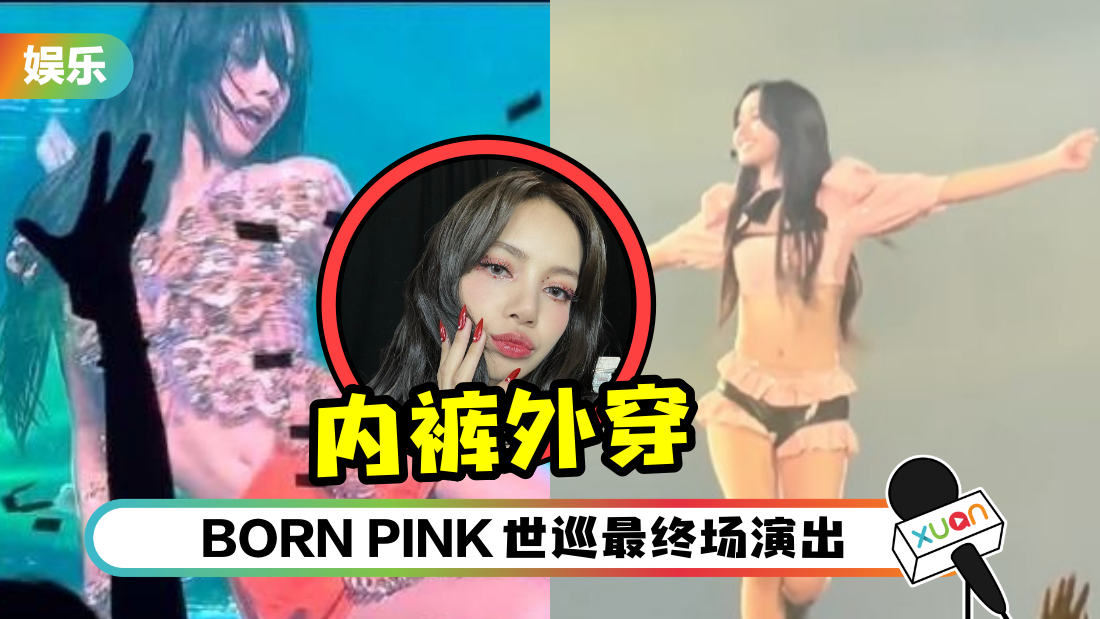 lisa-neikuwaichuan-cover.png
