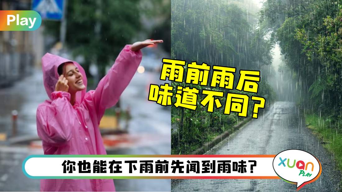 smell-of-rain.jpg