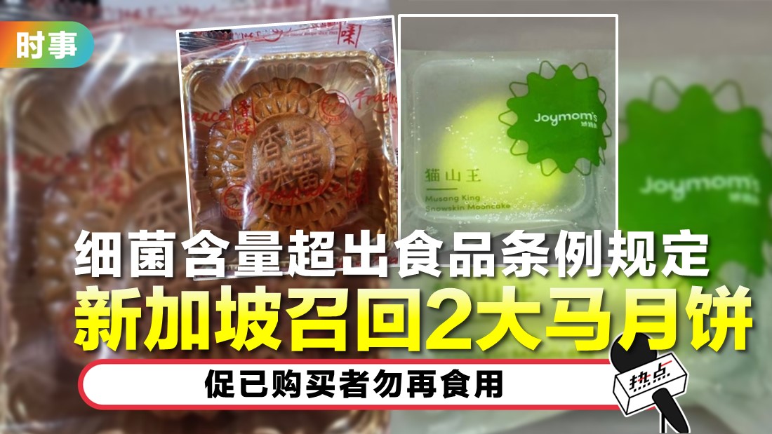 tn-mooncake.jpg