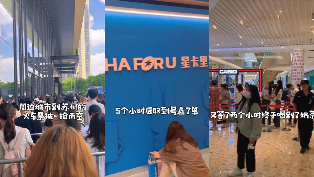 粉丝排7小时队
