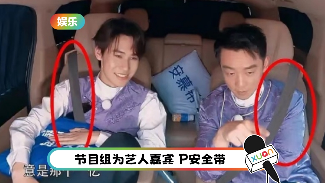 paonan-seatbelt-cover.jpg