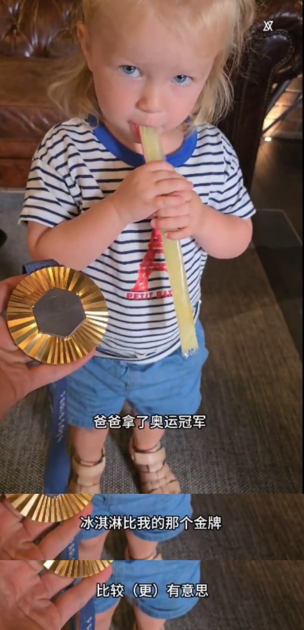 安赛龙